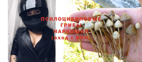 прущая мука Нея