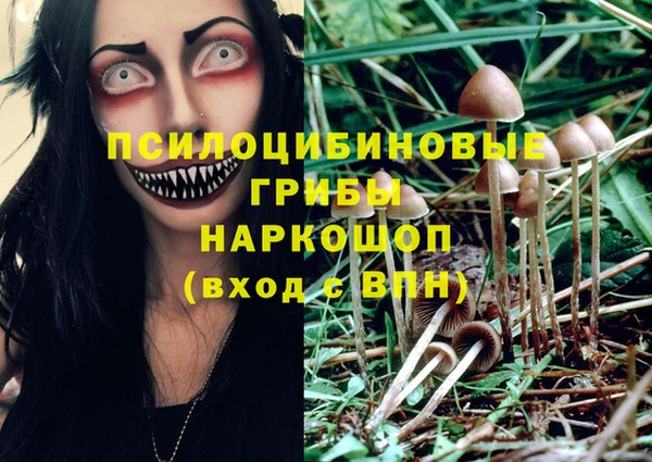МДМА Новозыбков