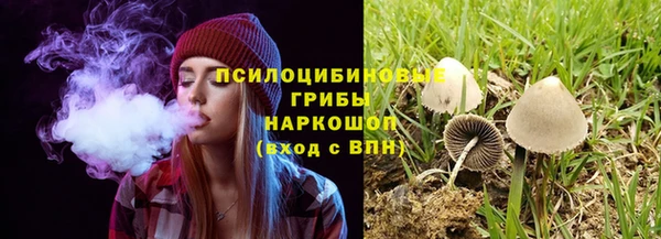 прущая мука Нея