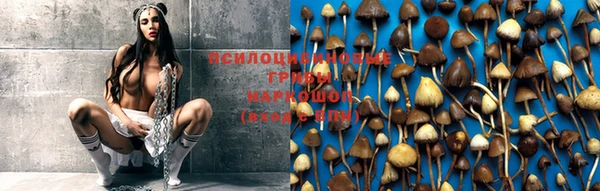 марихуана Нефтегорск