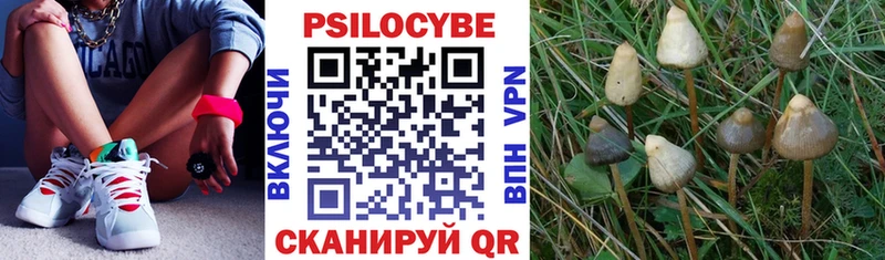 Купить закладки  Янаул  Галлюциногенные грибы Cubensis 
